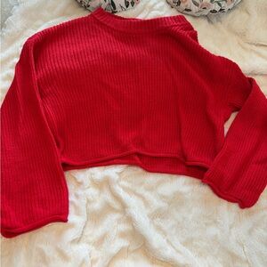 Red Crop Sweater